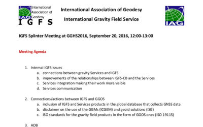 Minutes of the IGFS Splinter Meeting at GGHS2016